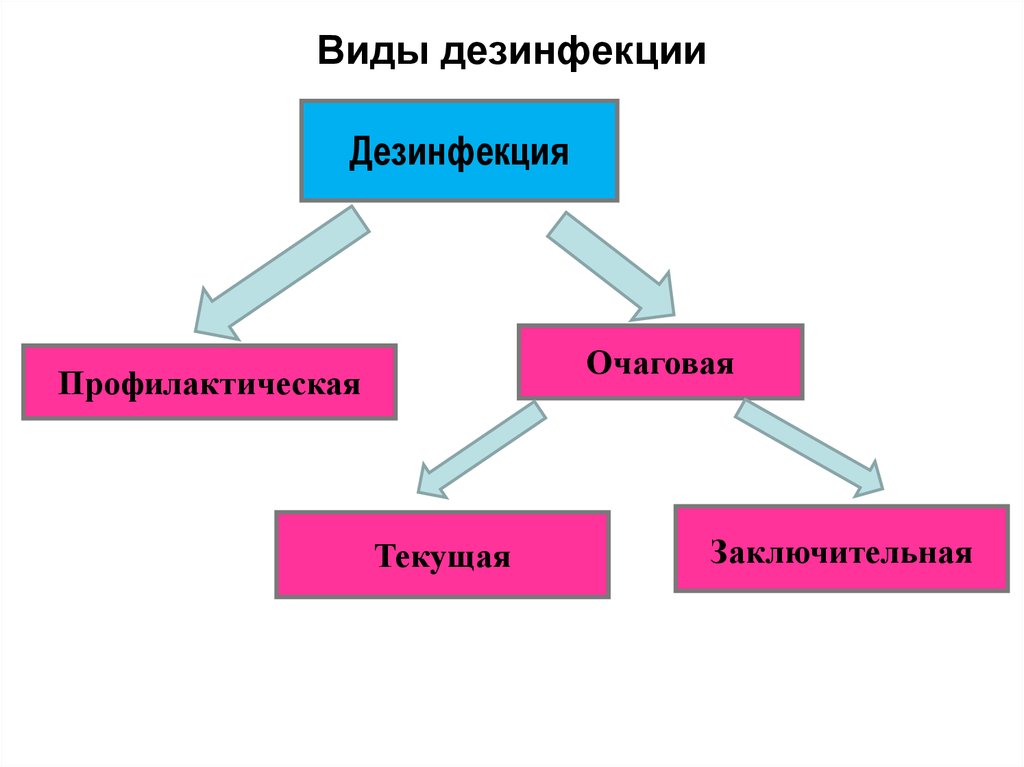 На фото описаны виды дезинфекции